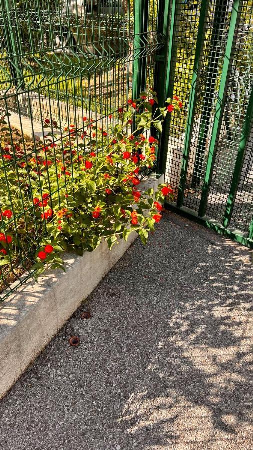 Le Val D'azur Lejlighed