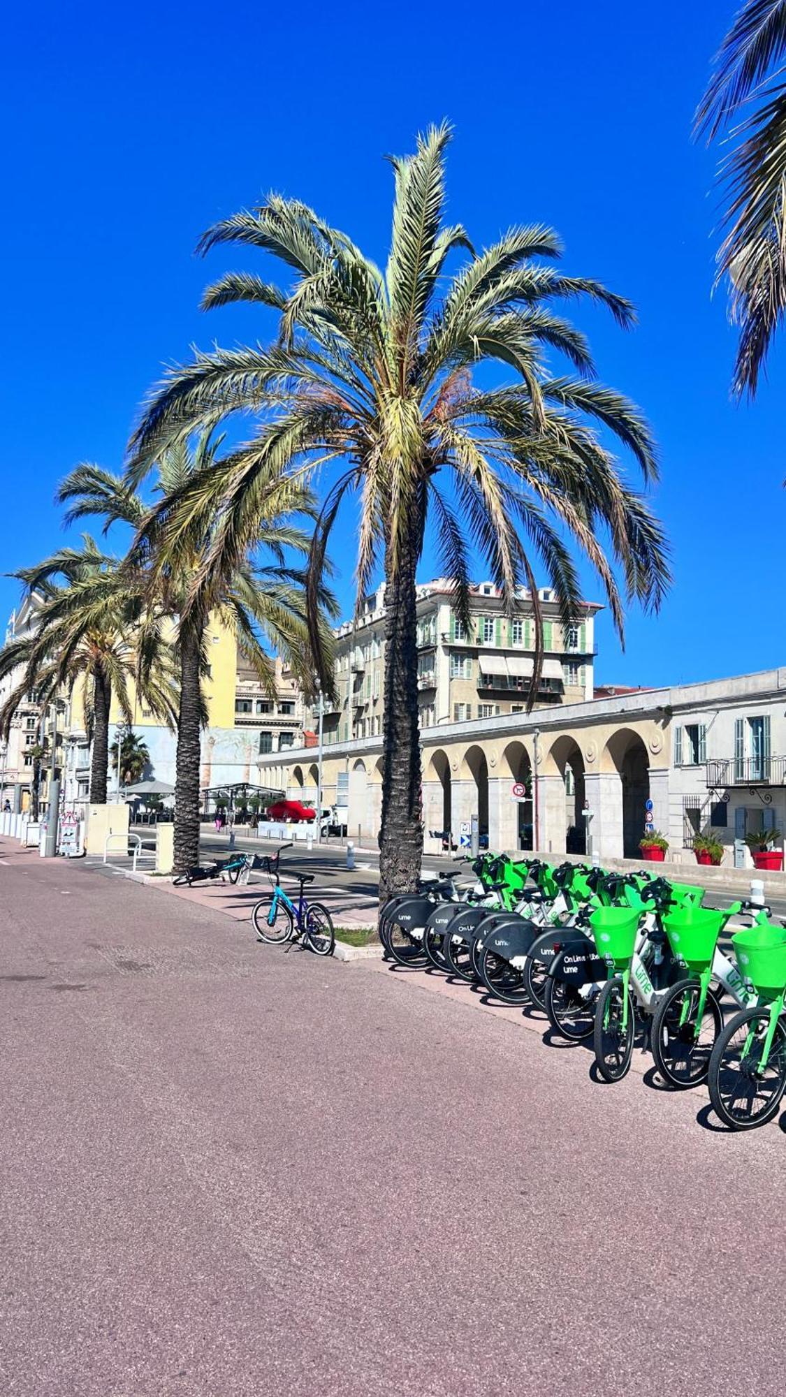Lejlighed Le Val D'azur Nice